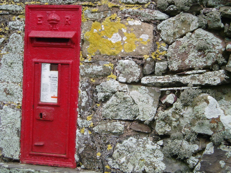 image11
