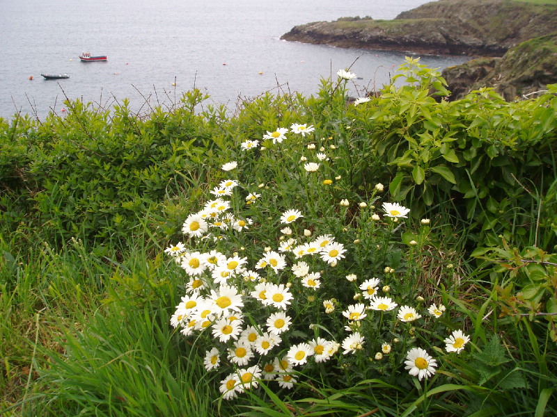 image13