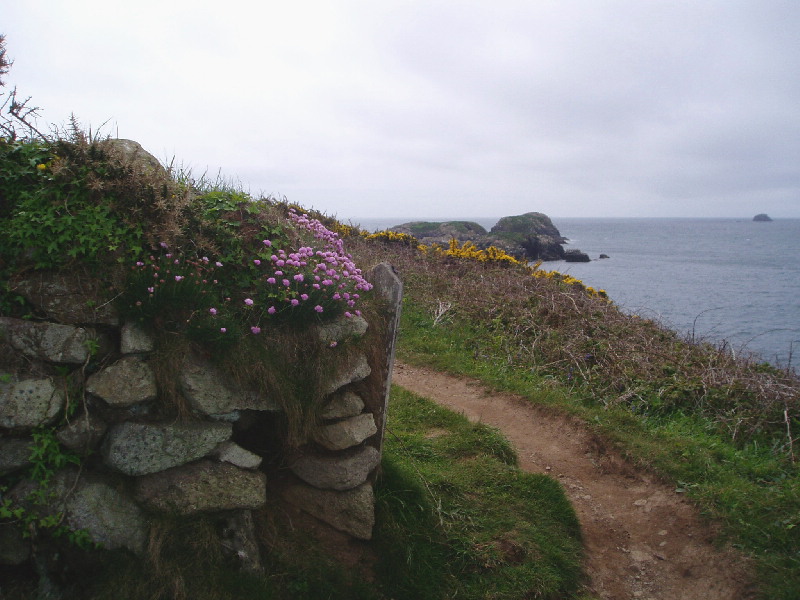 image14