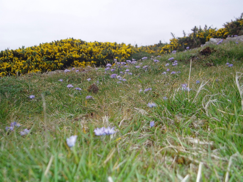 image6