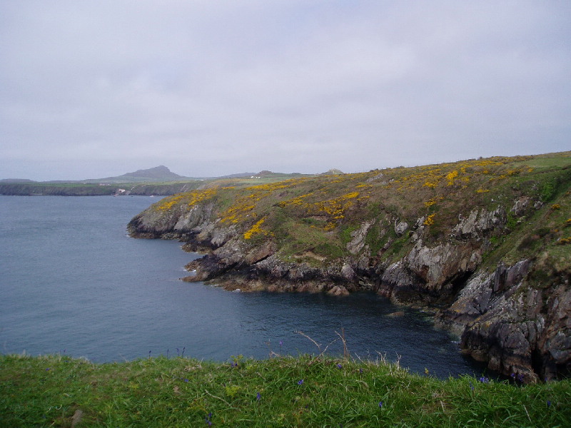 image7